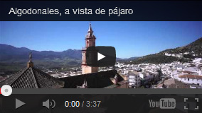 video algodonales
